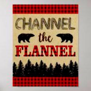 Flannelish type shirts